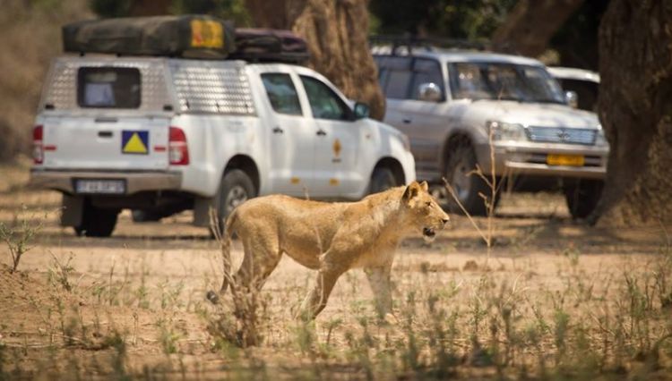 Blog - Acacia Car Rentals sees constant improvements since fitting Frotcom Acacia Car Rentals sees constant improvements since fitting Frotcom